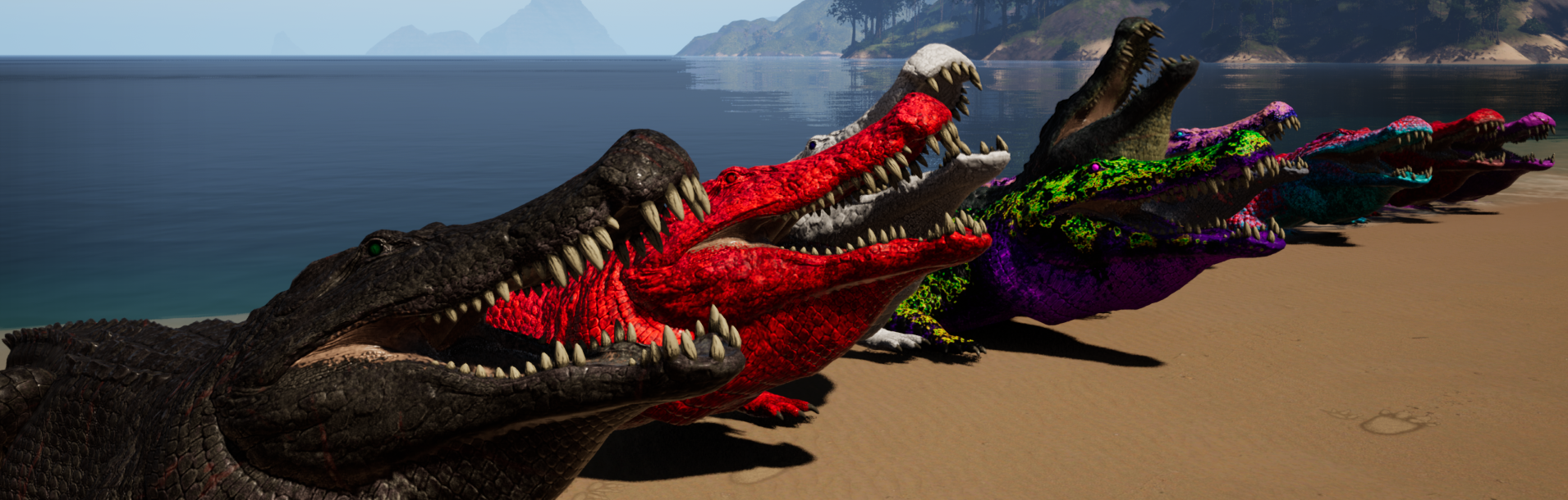 Showcase by Amethyst